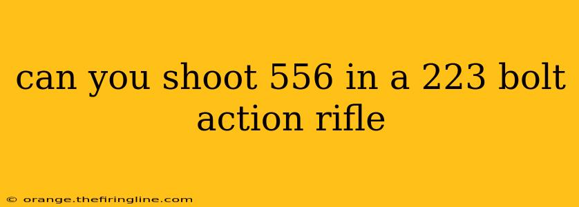 can you shoot 556 in a 223 bolt action rifle