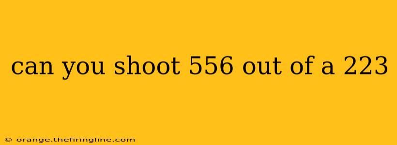 can you shoot 556 out of a 223