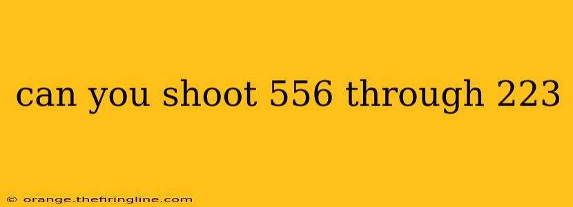 can you shoot 556 through 223