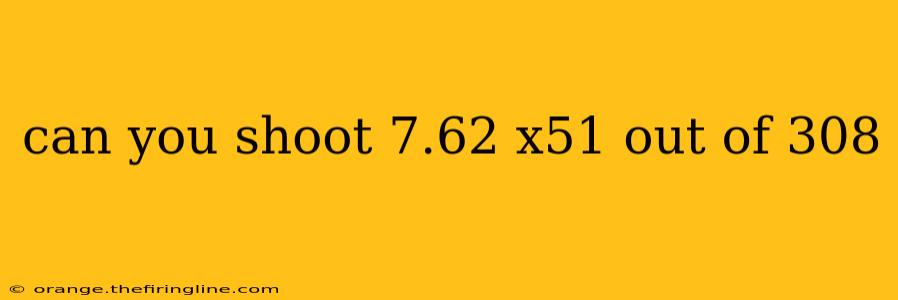 can you shoot 7.62 x51 out of 308