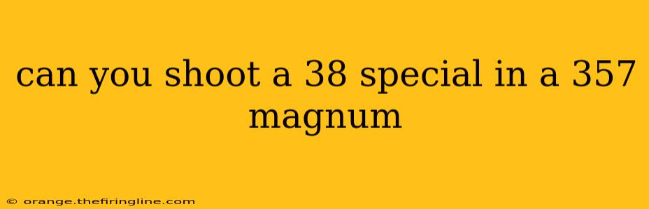 can you shoot a 38 special in a 357 magnum