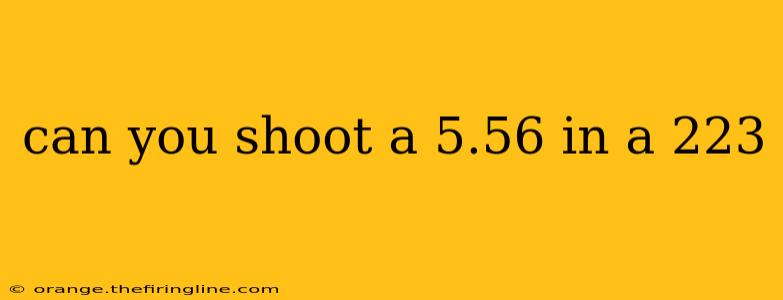 can you shoot a 5.56 in a 223