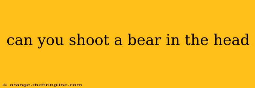 can you shoot a bear in the head