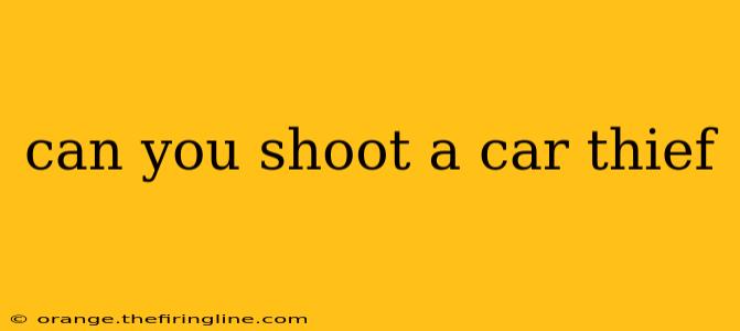 can you shoot a car thief