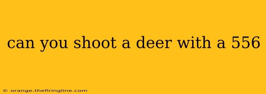 can you shoot a deer with a 556