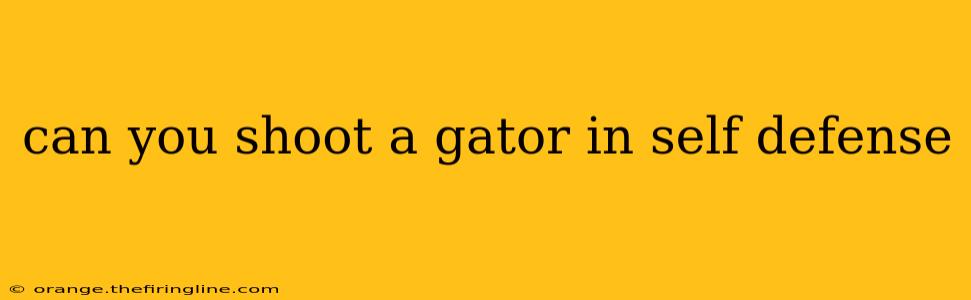 can you shoot a gator in self defense