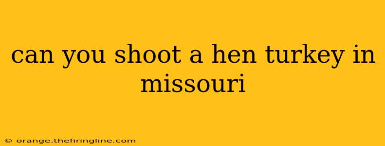 can you shoot a hen turkey in missouri