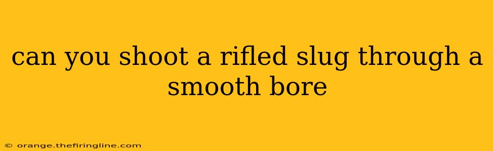 can you shoot a rifled slug through a smooth bore