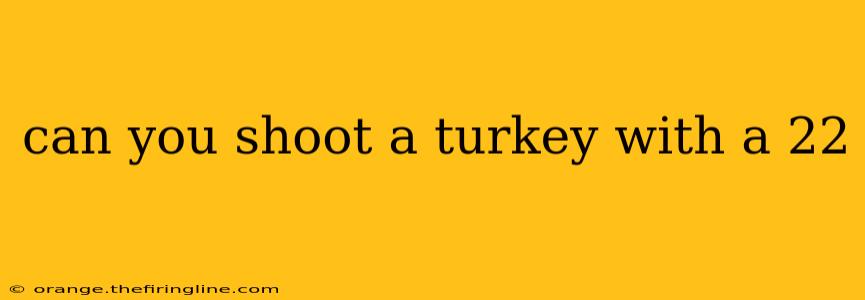 can you shoot a turkey with a 22