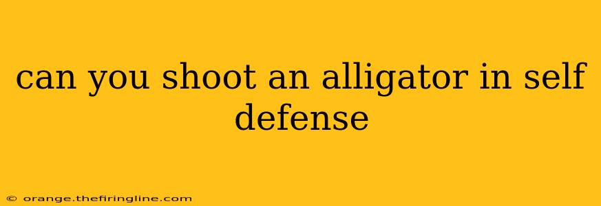 can you shoot an alligator in self defense