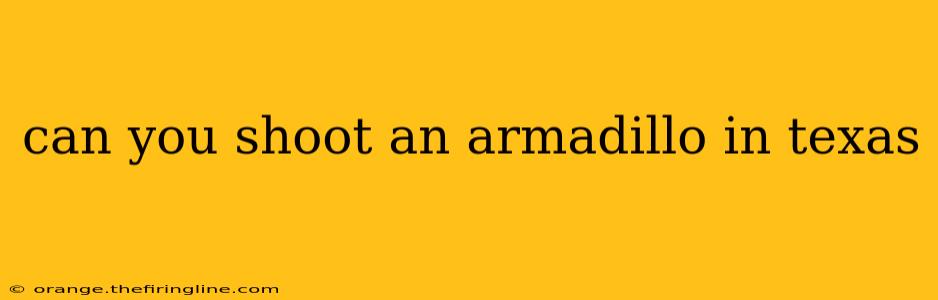 can you shoot an armadillo in texas