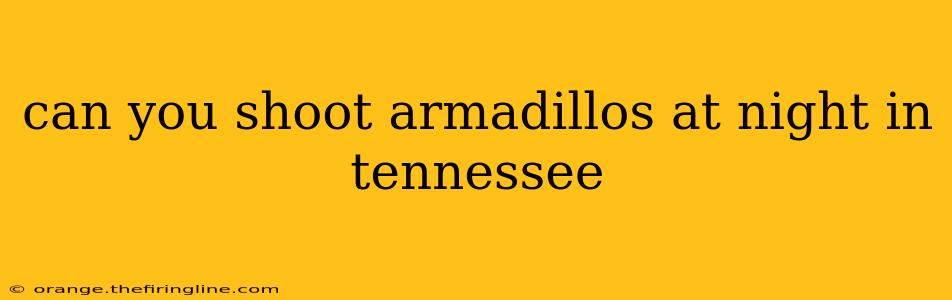 can you shoot armadillos at night in tennessee