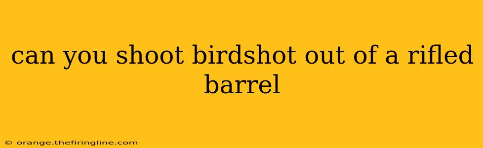 can you shoot birdshot out of a rifled barrel