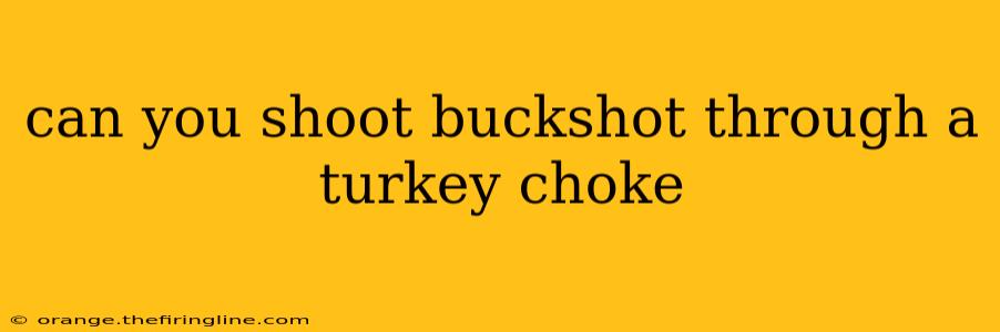 can you shoot buckshot through a turkey choke