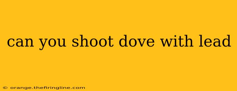 can you shoot dove with lead