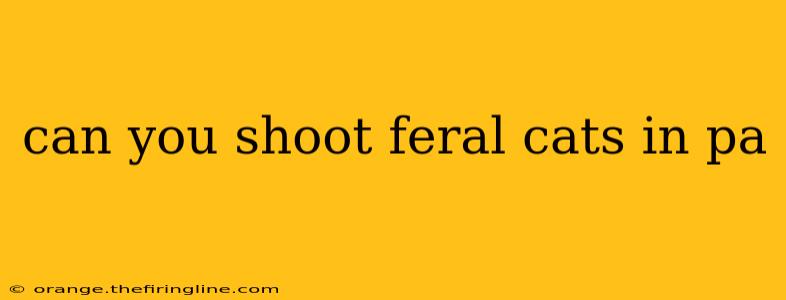 can you shoot feral cats in pa