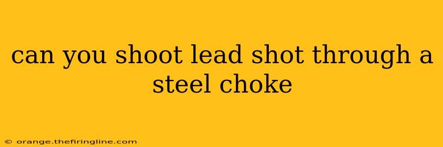 can you shoot lead shot through a steel choke