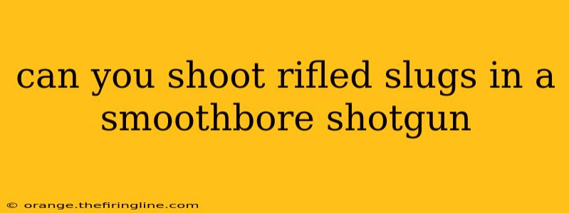 can you shoot rifled slugs in a smoothbore shotgun