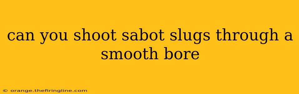 can you shoot sabot slugs through a smooth bore