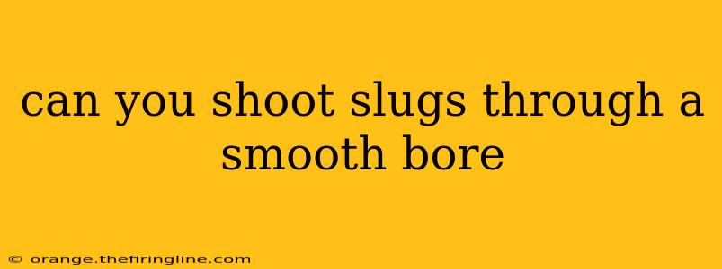 can you shoot slugs through a smooth bore