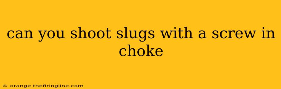 can you shoot slugs with a screw in choke