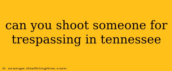 can you shoot someone for trespassing in tennessee