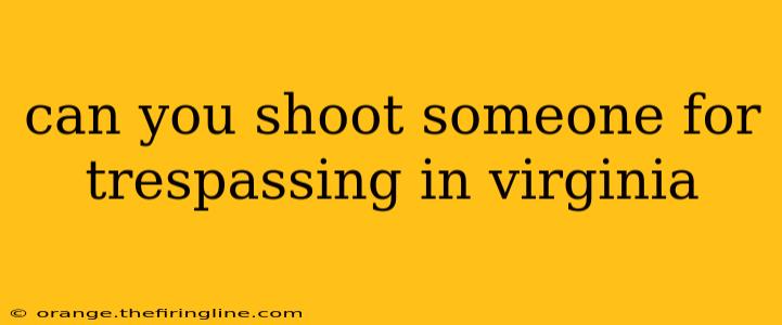 can you shoot someone for trespassing in virginia