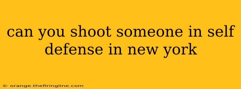 can you shoot someone in self defense in new york