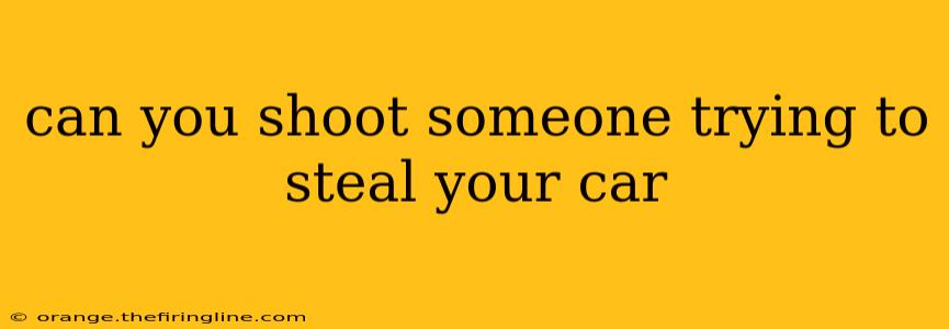 can you shoot someone trying to steal your car