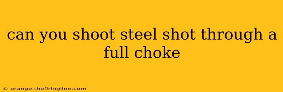 can you shoot steel shot through a full choke