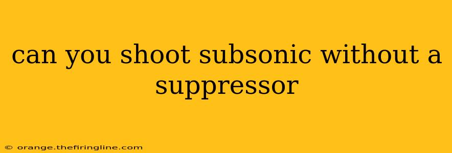 can you shoot subsonic without a suppressor