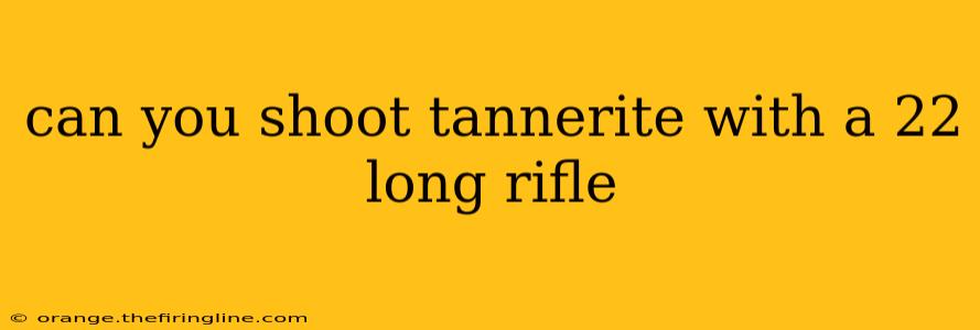 can you shoot tannerite with a 22 long rifle