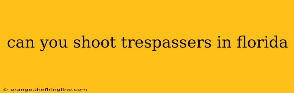 can you shoot trespassers in florida