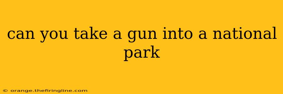 can you take a gun into a national park