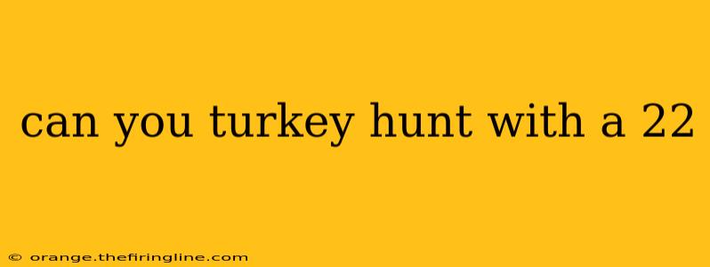 can you turkey hunt with a 22