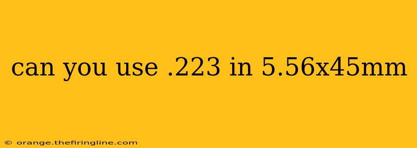 can you use .223 in 5.56x45mm