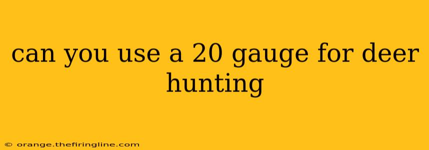 can you use a 20 gauge for deer hunting