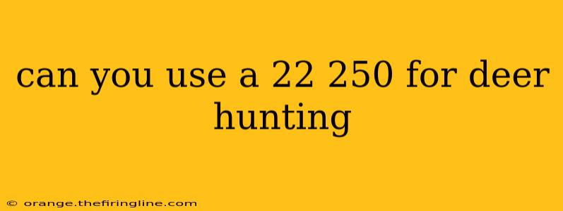 can you use a 22 250 for deer hunting