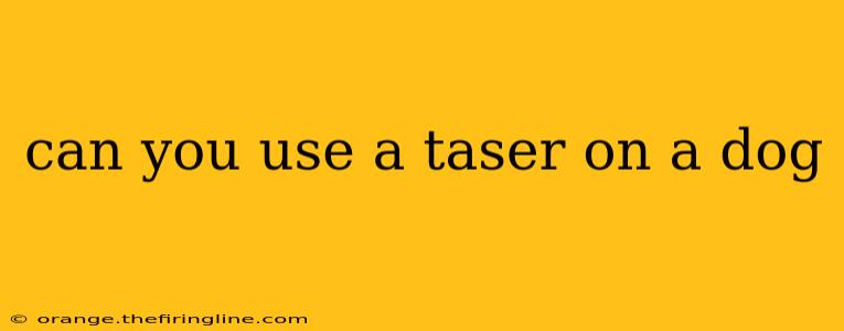 can you use a taser on a dog