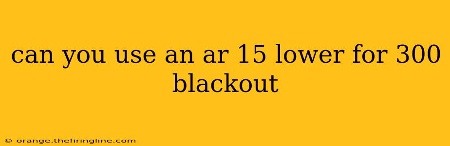 can you use an ar 15 lower for 300 blackout