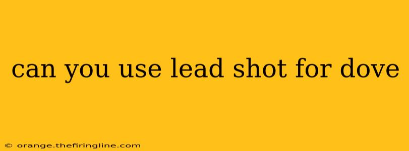 can you use lead shot for dove