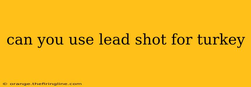 can you use lead shot for turkey