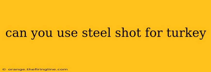 can you use steel shot for turkey