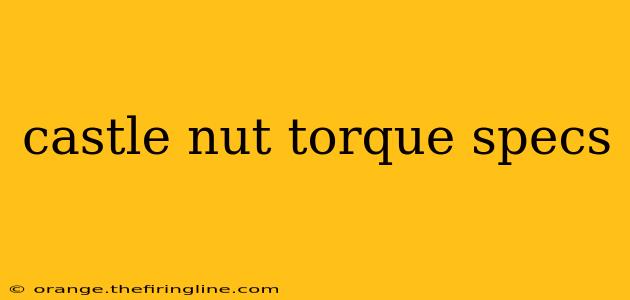 castle nut torque specs