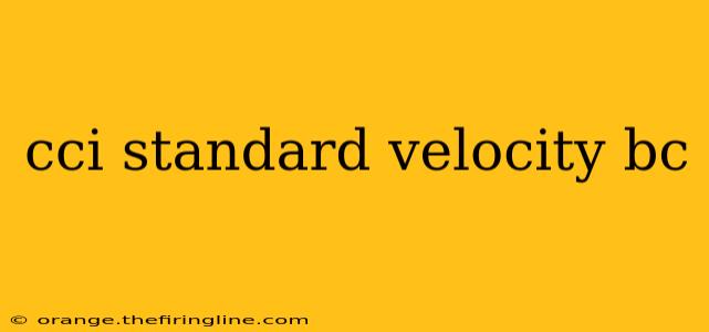 cci standard velocity bc