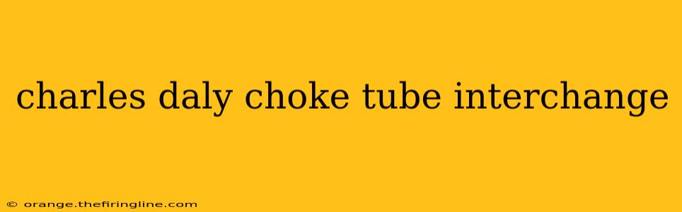 charles daly choke tube interchange