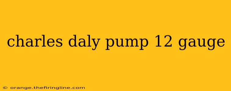 charles daly pump 12 gauge