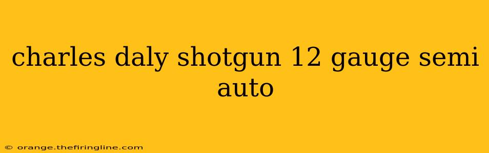 charles daly shotgun 12 gauge semi auto