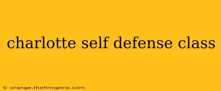 charlotte self defense class