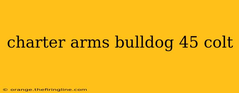 charter arms bulldog 45 colt